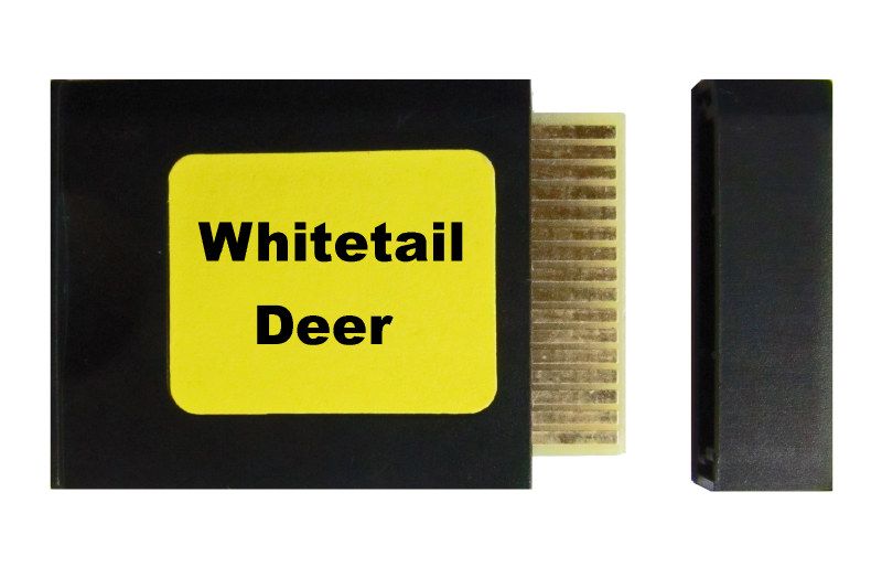 Whitetail Deer - Yellow label